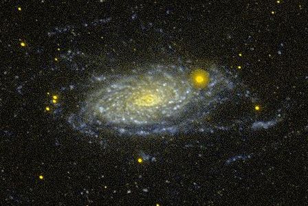 Галактика Соняшник